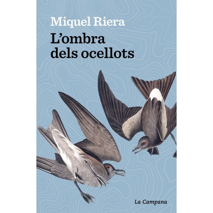 LOMBRA DELS OCELLOTS