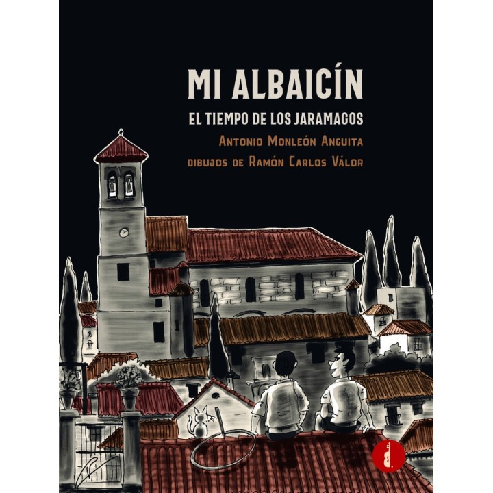 MI ALBAICIN