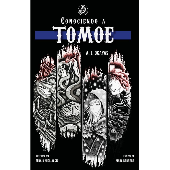 CONOCIENDO A TOMOE