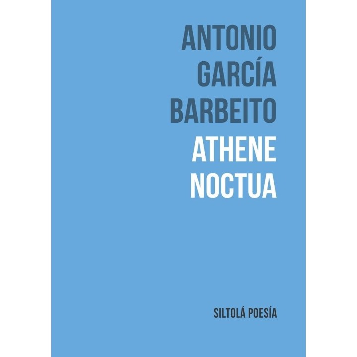 ATHENE NOCTUA