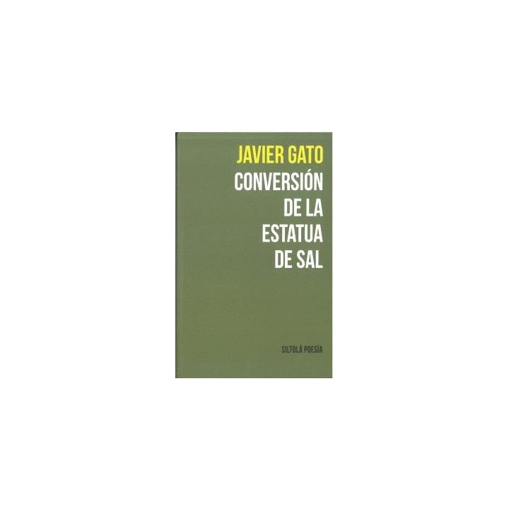 CONVERSION DE LA ESTATUA DE SAL