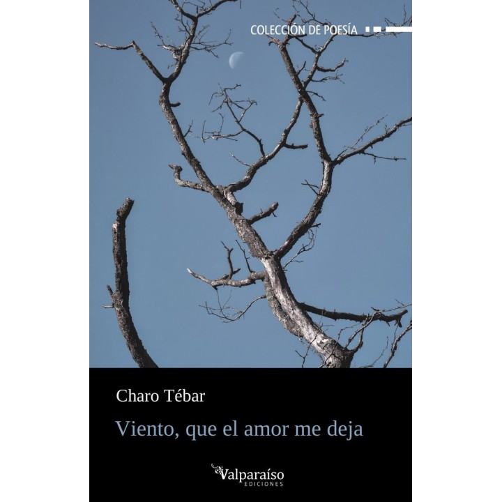 VIENTO QUE EL AMOR ME DEJA