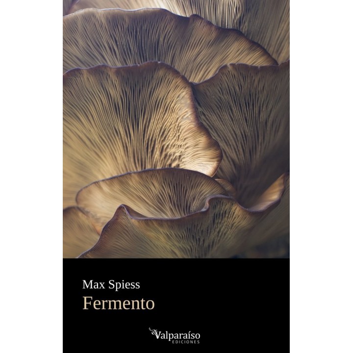 FERMENTO
