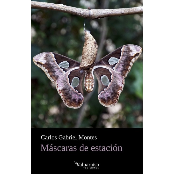 MASCARAS DE ESTACION