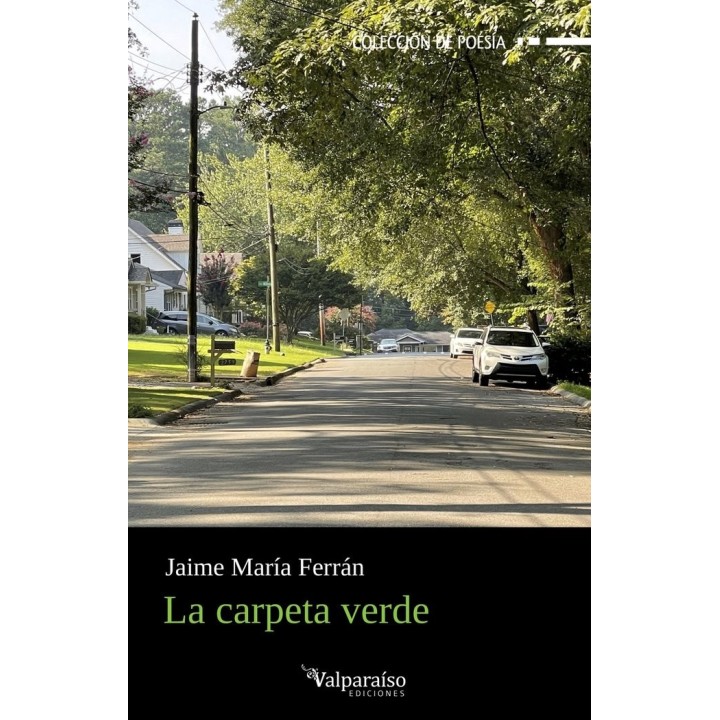 CARPETA VERDE,LA