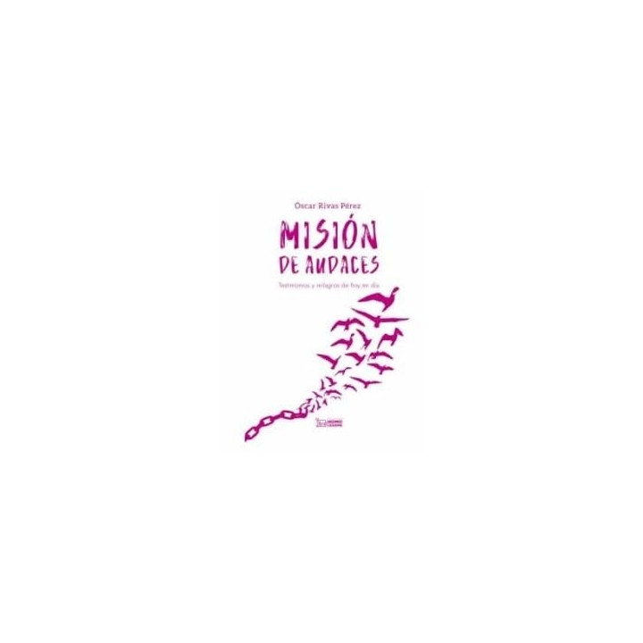 MISION DE AUDACES