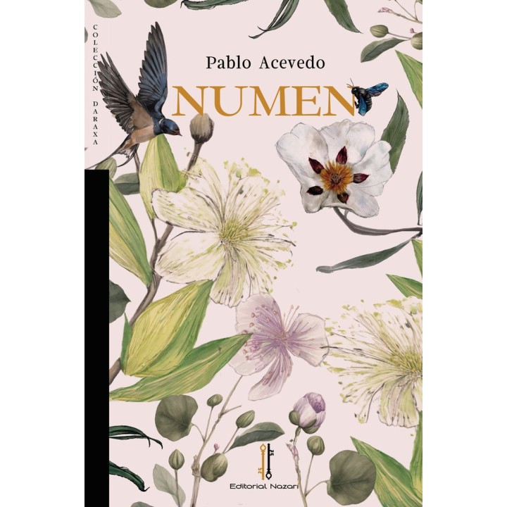 NUMEN