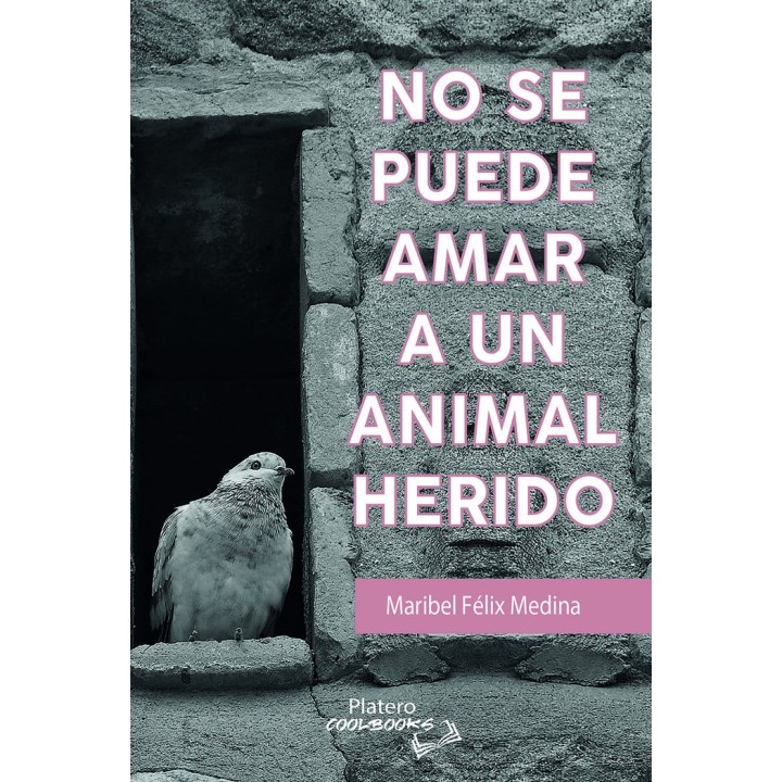 NO SE PUEDE AMAR A UN ANIMAL HERIDO
