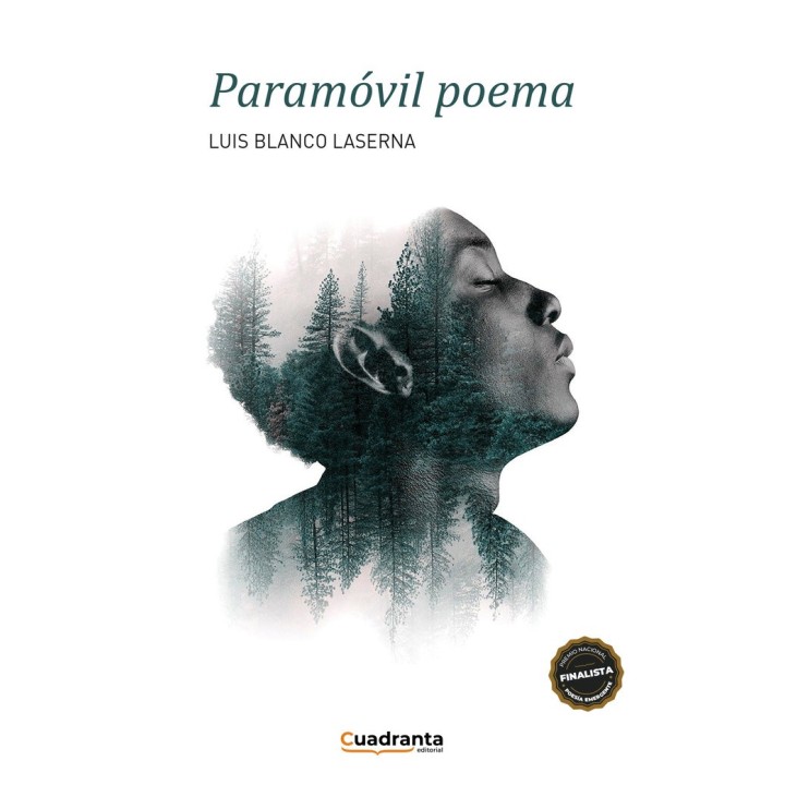 PARAMOVIL POEMA