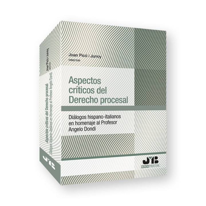 ASPECTOS CRITICOS DEL DERECHO PROCESAL