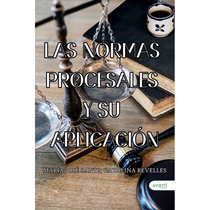 LAS NORMAS PROCESALES Y SU APLICACION