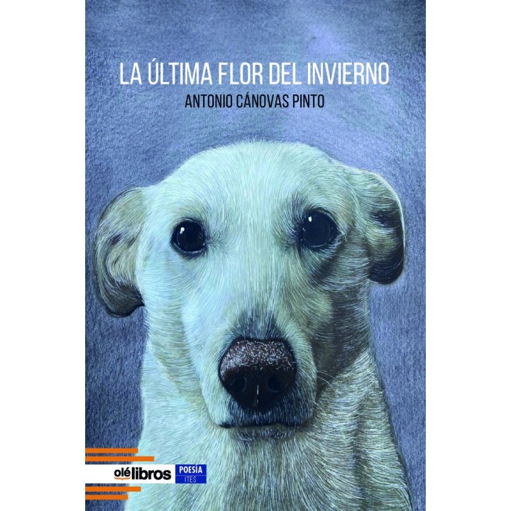 LA ULTIMA FLOR DEL INVIERNO