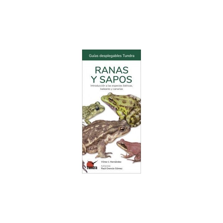RANAS Y SAPOS GUIAS DESPLEGABLES TUNDRA