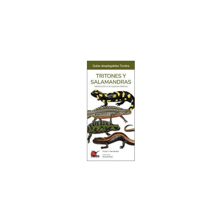 TRITONES Y SALAMANDRAS