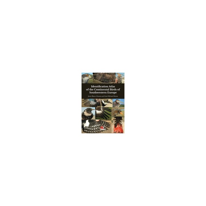 IDENTIFICATION ATLAS OF THE CONTINENTAL BIRDS OF SOUTHWESTE