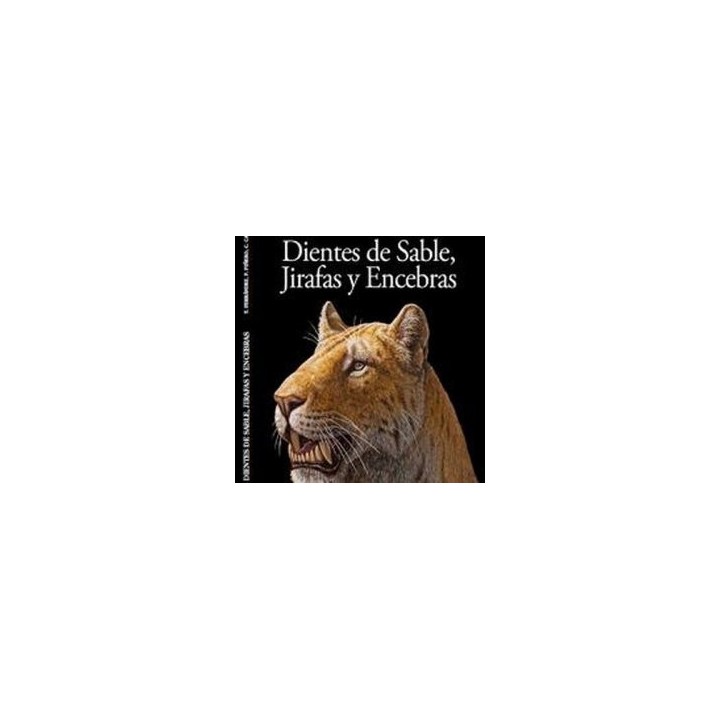 DIENTES DE SABLE JIRAFAS Y ENCEBRAS