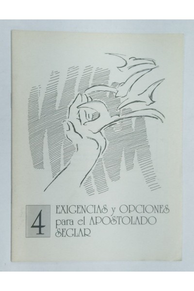 Exigencias y Opciones para el apostolado Seglar