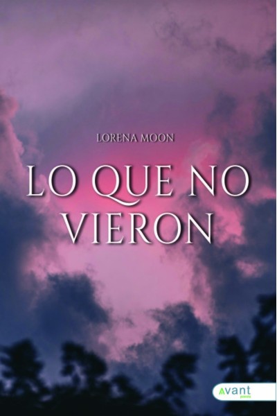 LO QUE NO VIERON