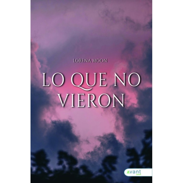 LO QUE NO VIERON