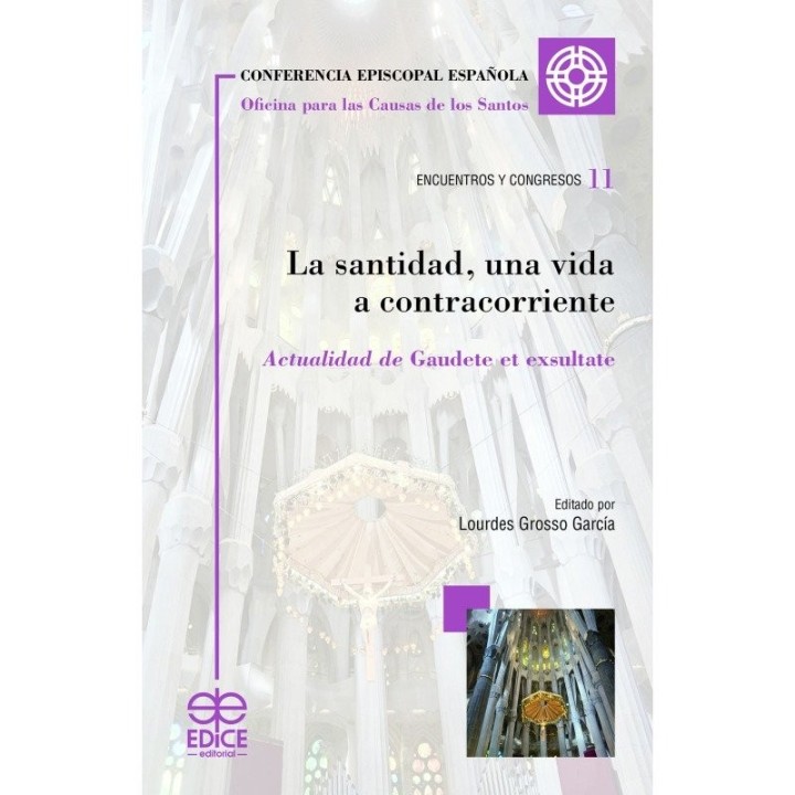 LA SANTIDAD UNA VIDA A CONTRACORRIENTE