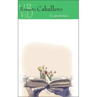 LA GRAMATICA