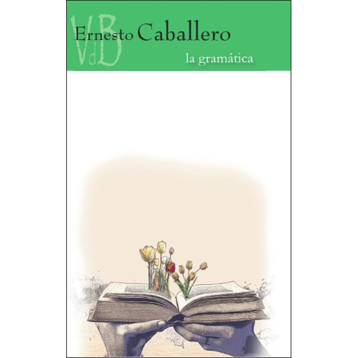 LA GRAMATICA