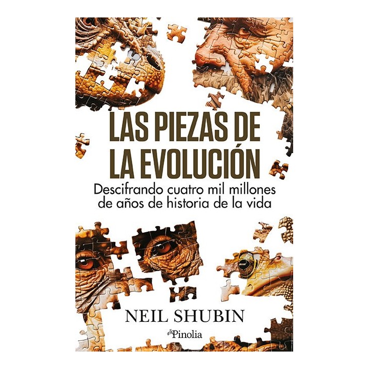 PIEZAS DE LA EVOLUCION,LAS