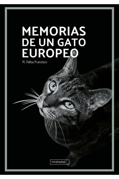 MEMORIAS DE UN GATO EUROPEO