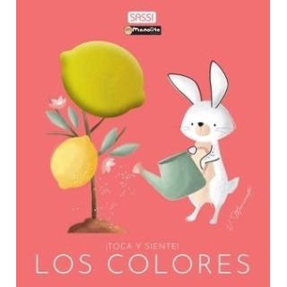 COLORES TOCA Y SIENTE