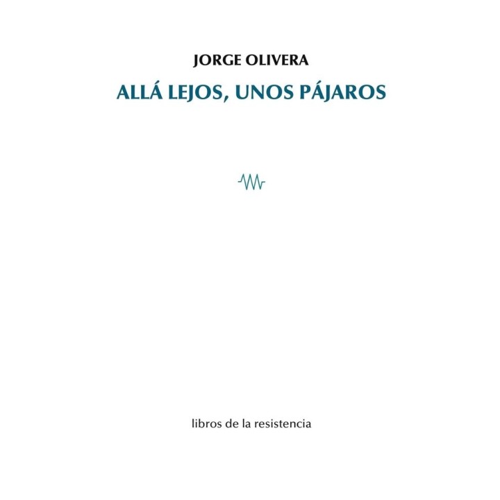 ALLA LEJOS UNOS PAJAROS