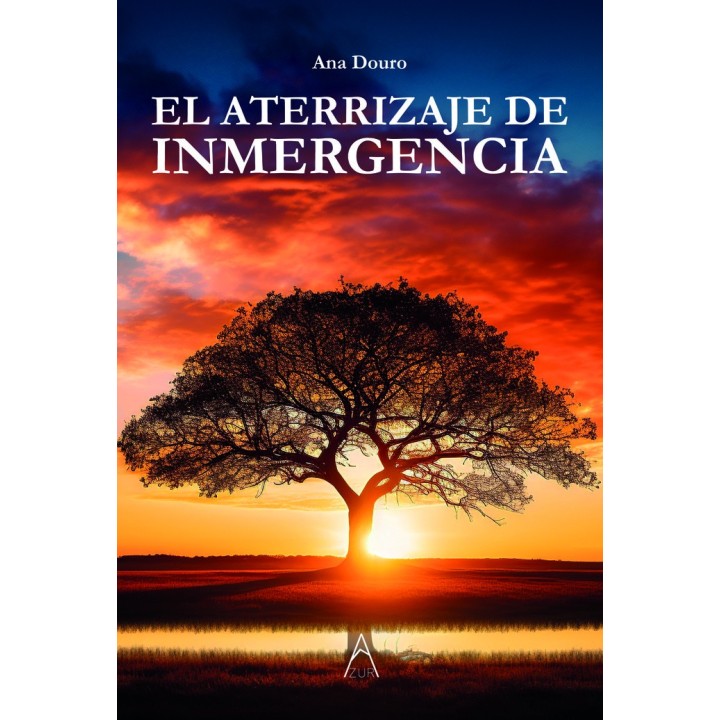 EL ATERRIZAJE DE INMERGENCIA