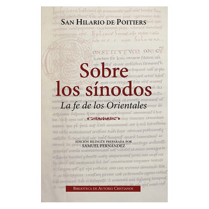 SOBRE LOS SINODOS