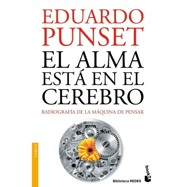 ALMA ESTA EN EL CEREBRO,EL