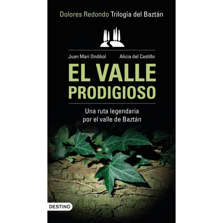 VALLE PRODIGIOSO,EL