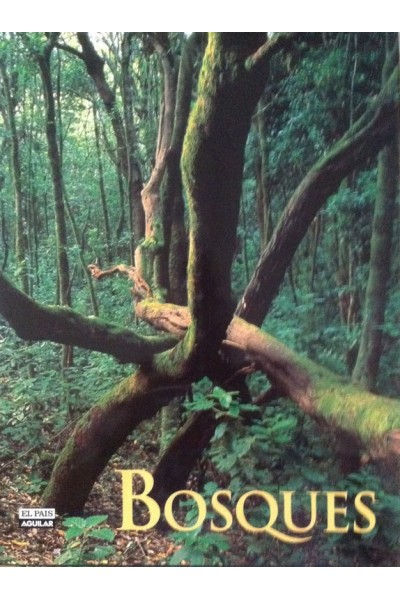 Bosques