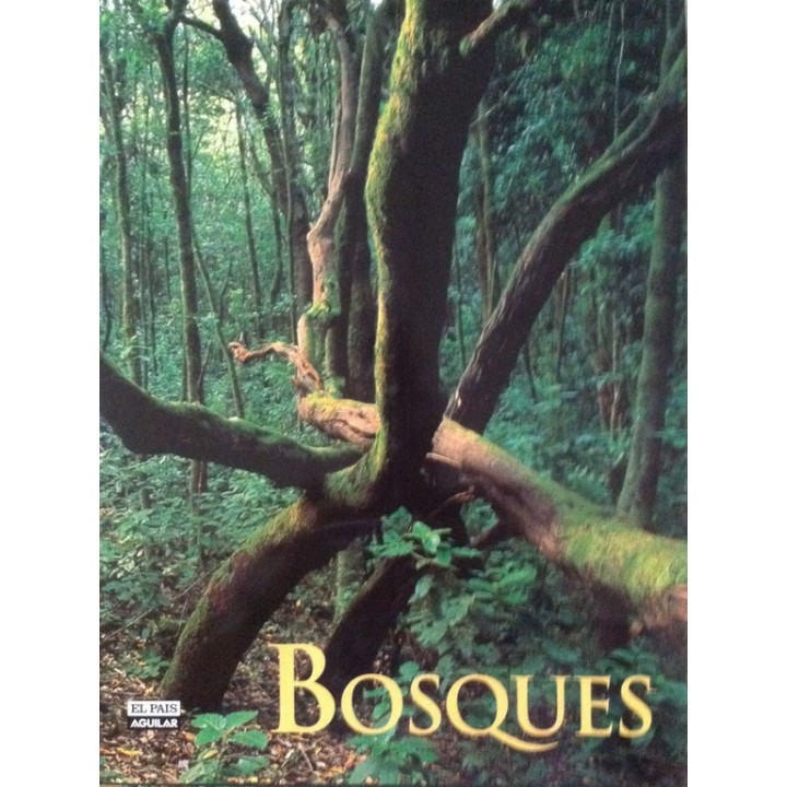 Bosques
