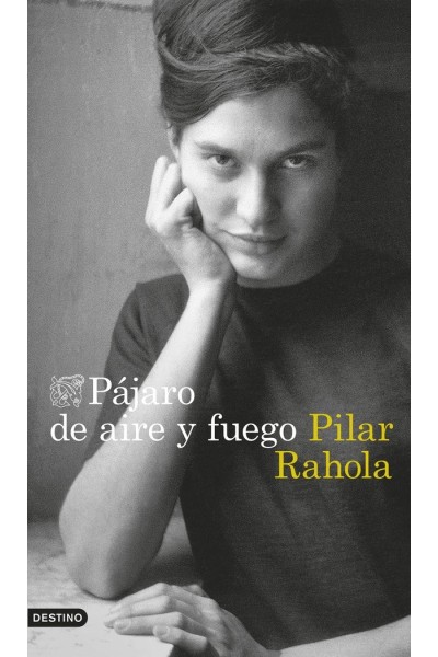 PAJARO DE AIRE Y FUEGO