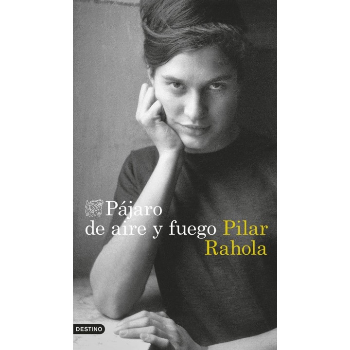 PAJARO DE AIRE Y FUEGO