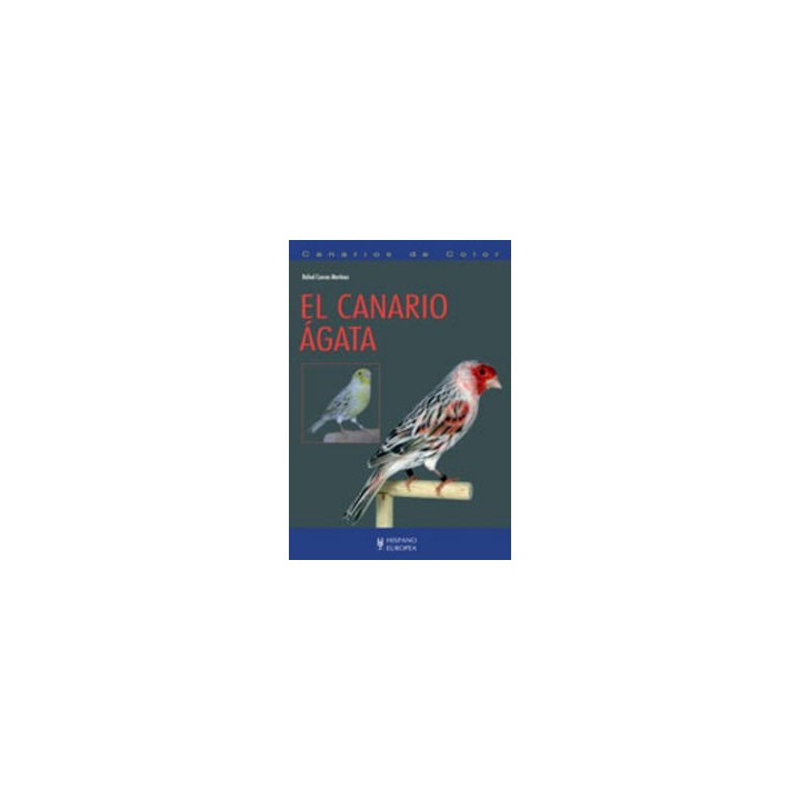 CANARIO AGATA,EL