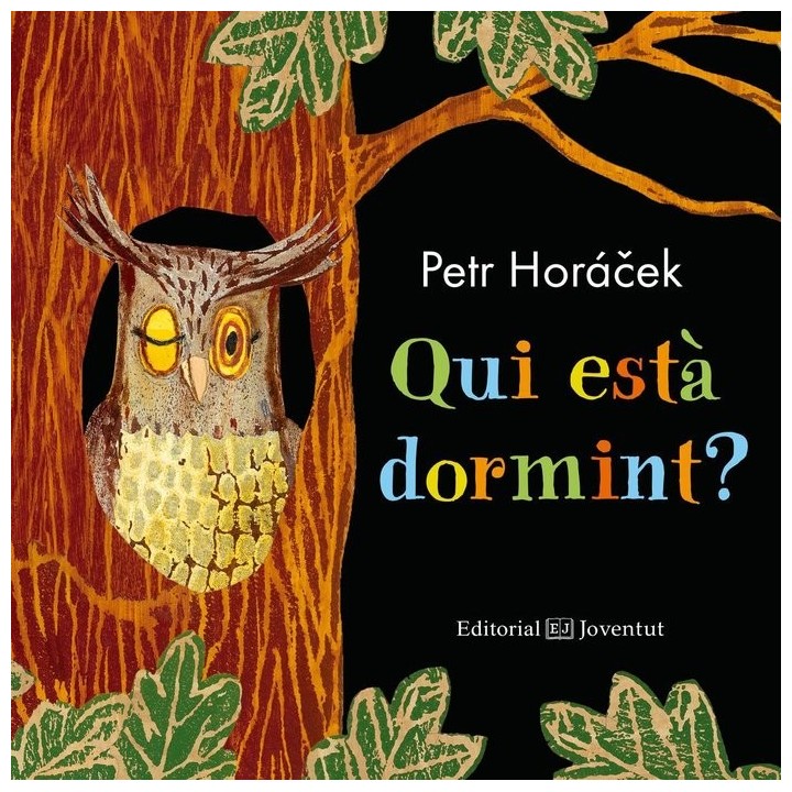 QUI ESTA DORMINT