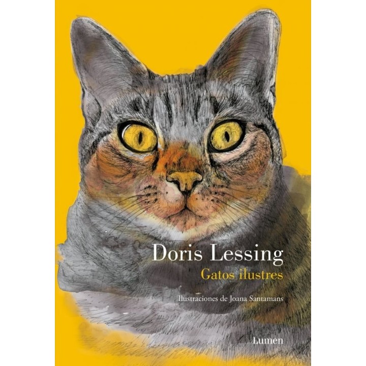 GATOS ILUSTRES