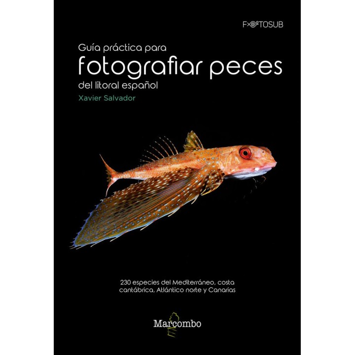 GUIA PRACTICA PARA FOTOGRAFIAS PECES DEL LITORAL ESPAÑOL