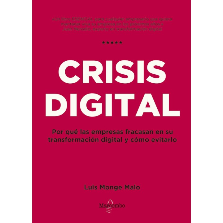 CRISIS DIGITAL