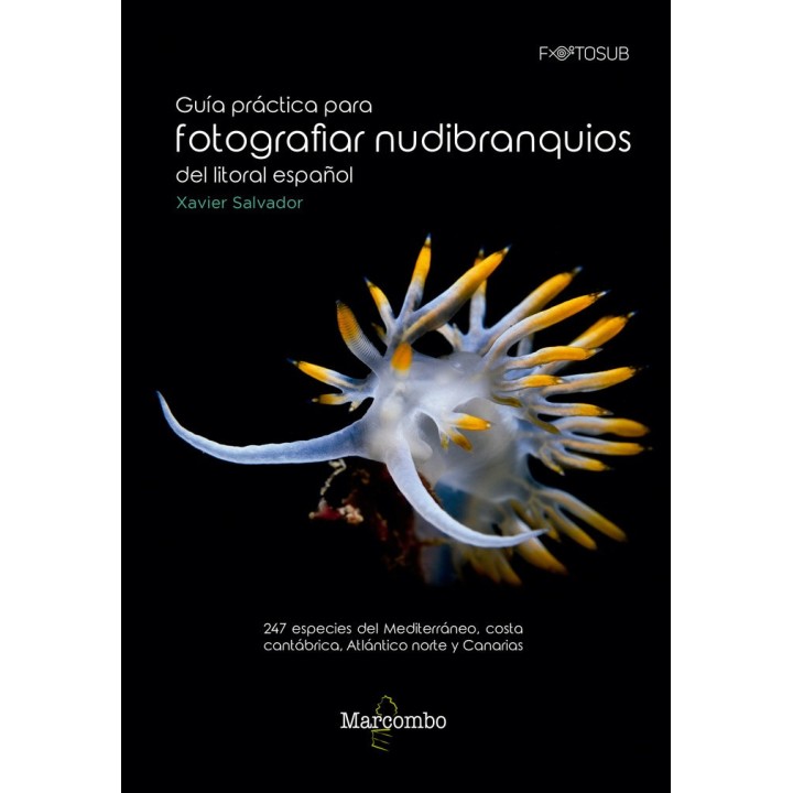 GUIA PRACTICA PARA FOTOGRAFIAR NUDIBRANQUIOS LITORAL ESPAÑO