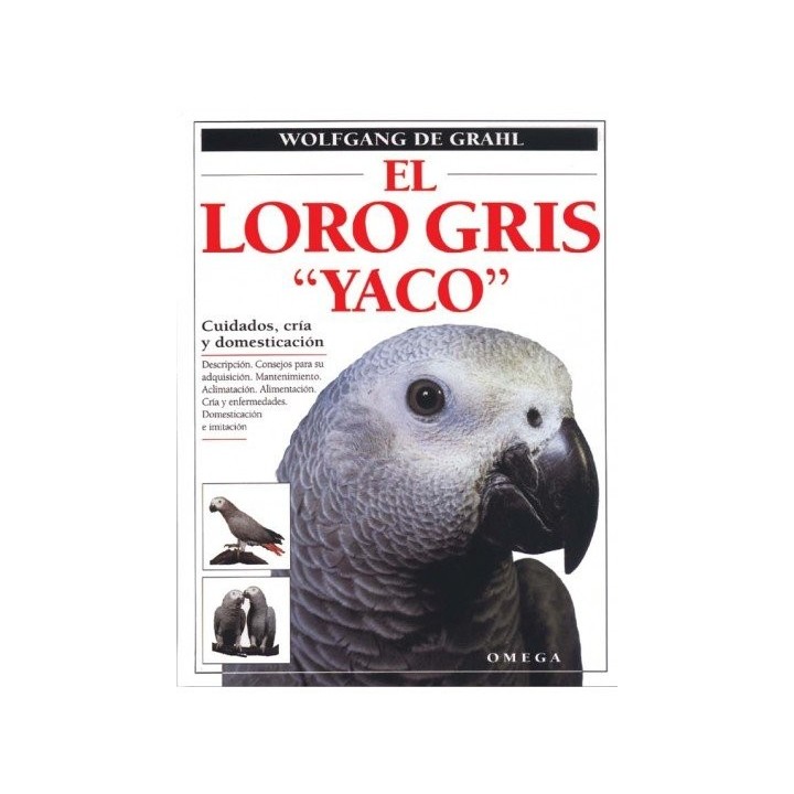 LORO GRIS YACO CUIDADOS CRIA