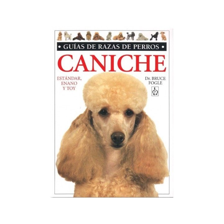 CANICHE GUIAS RAZAS PERROS