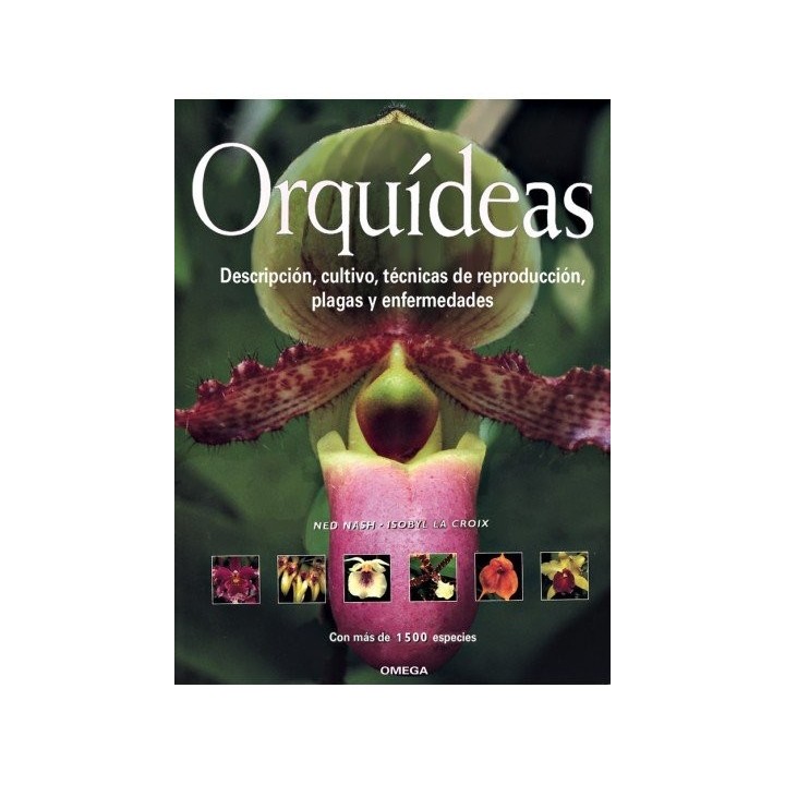 ORQUIDEAS
