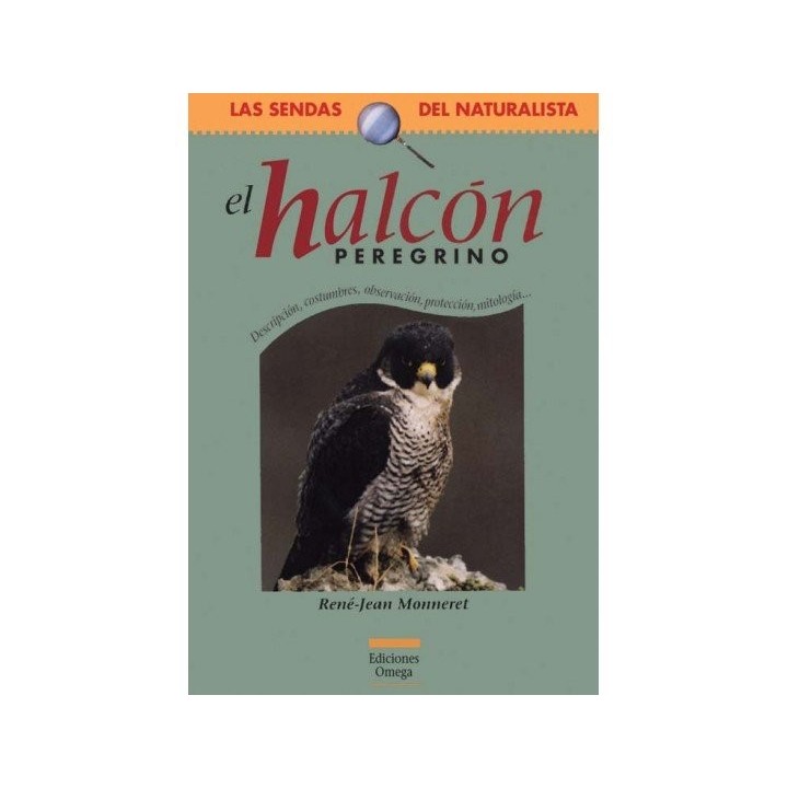 HALCON PREREGRINO