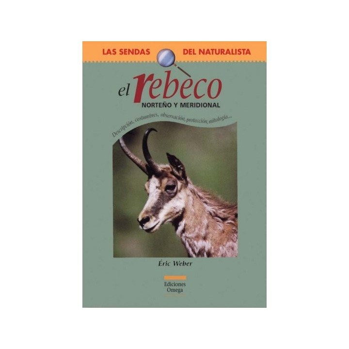 REBECO NORTEÑO Y MERIDIONAL