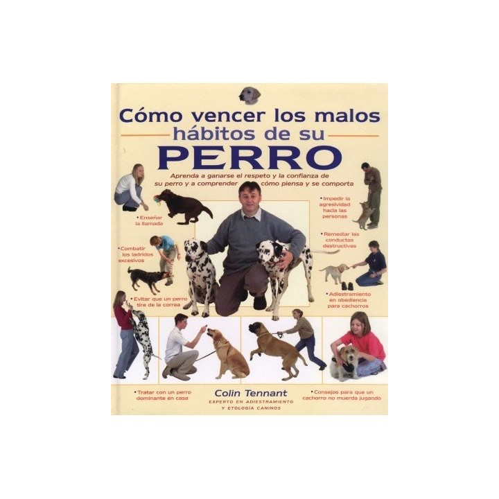 COMO VENCER MALOS HABITOS DE SU PERRO